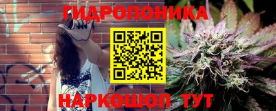 стаф Новозыбков