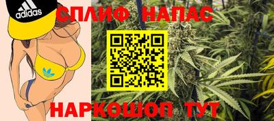 стаф Новозыбков