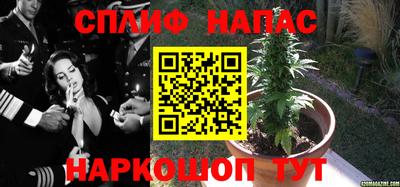 ALPHA-PVP Новодвинск