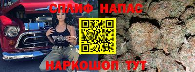 стаф Новозыбков