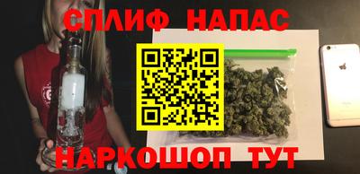 стаф Новозыбков