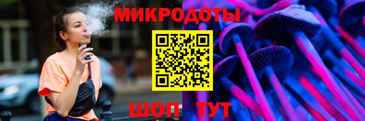 Псилоцибиновые грибы Psilocybine cubensis Черняховск