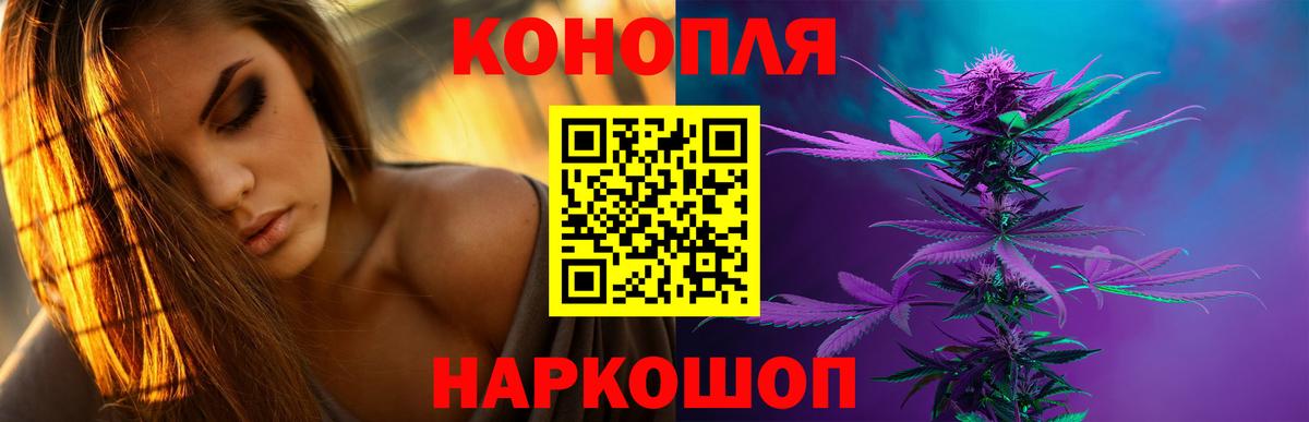 Шишки марихуана OG Kush Черняховск